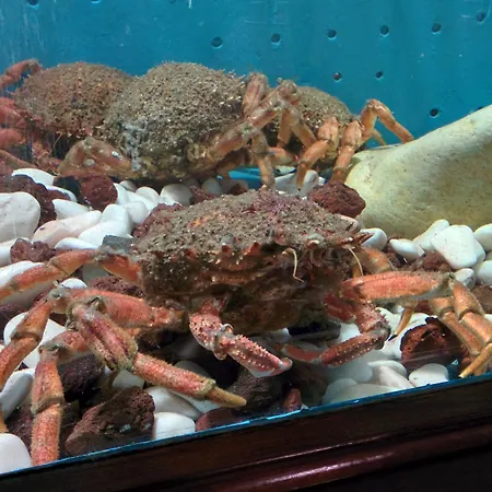 Hotel A Marisqueira I Aeropuerto A Coruna Oleiros