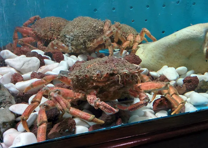 Szálloda A Marisqueira I Aeropuerto A Coruna Oleiros